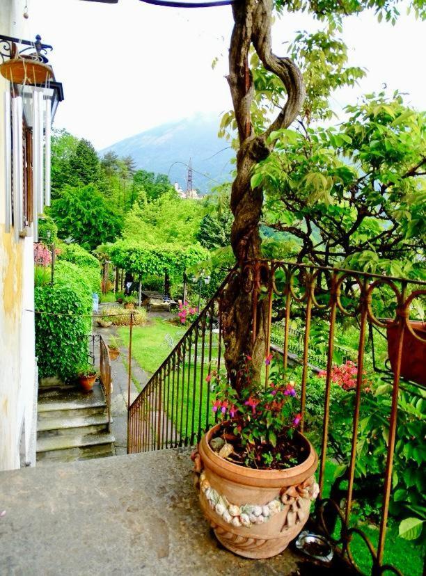 B&B Villa Moro - Family House Domodossola Exterior foto